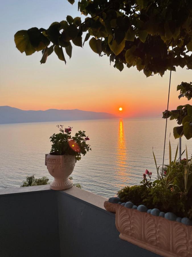 Vila Pashaj Vlorë Eksteriør bilde