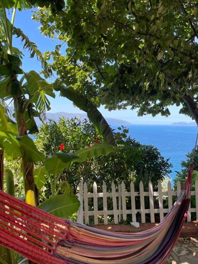 Vila Pashaj Vlorë Eksteriør bilde